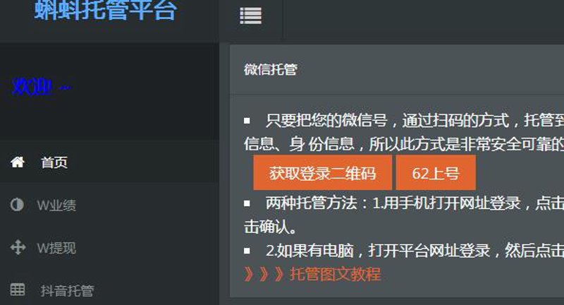 站群程序出售市场动态：机遇与挑战