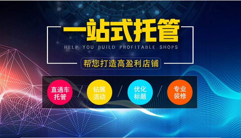 AI站群程序：构建高效内容生态的新引擎